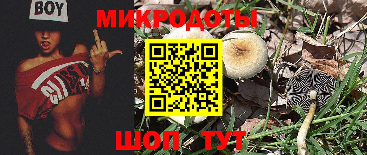 Глазов  Псилоцибиновые грибы ЛСД  Псилоцибиновые грибы мицелий  Вход с VPN 